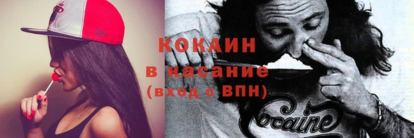 спиды Медвежьегорск