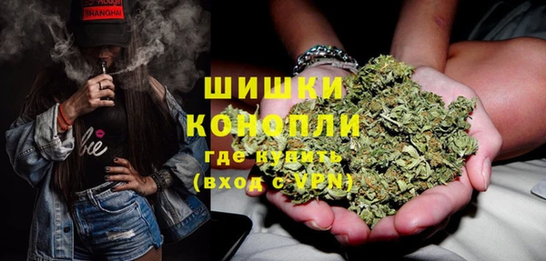крисы Медногорск