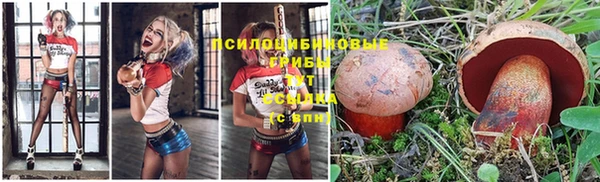 винт Мегион