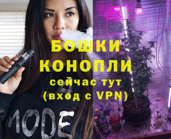 спиды Медвежьегорск
