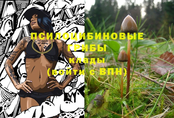 винт Мегион