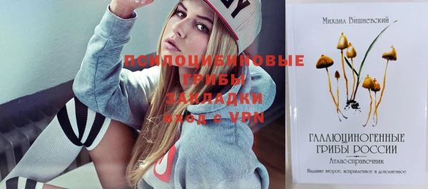 спиды Медвежьегорск
