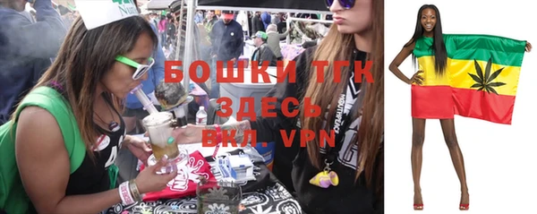 крисы Медногорск