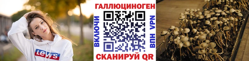 купить  цена  Хвалынск  shop телеграм  Псилоцибиновые грибы GOLDEN TEACHER 
